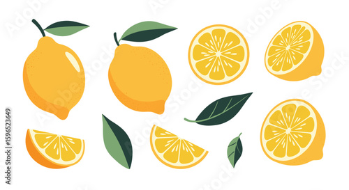 Fresh yellow lemons citrus fruit slices and whole fruits collection vector illustration