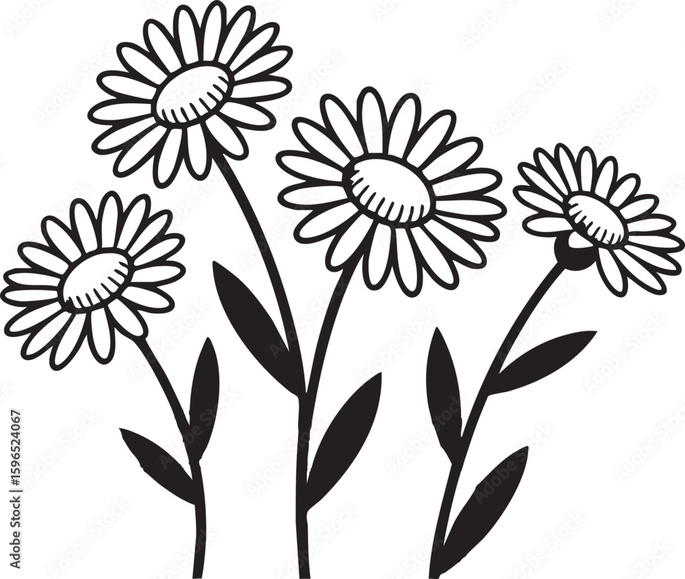 Obraz premium Simple hand drawn black and white illustration of a cluster of daisies on stems
