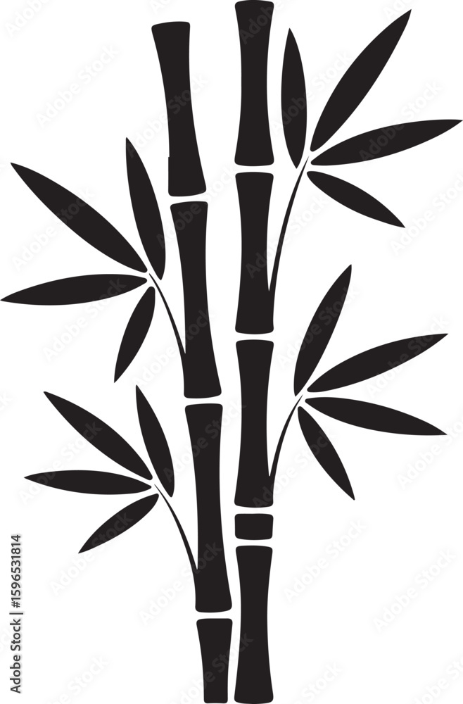Obraz premium Black bamboo stalks with leaves plant