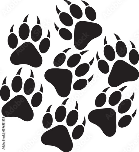 Black bear paw prints with sharp claws animal