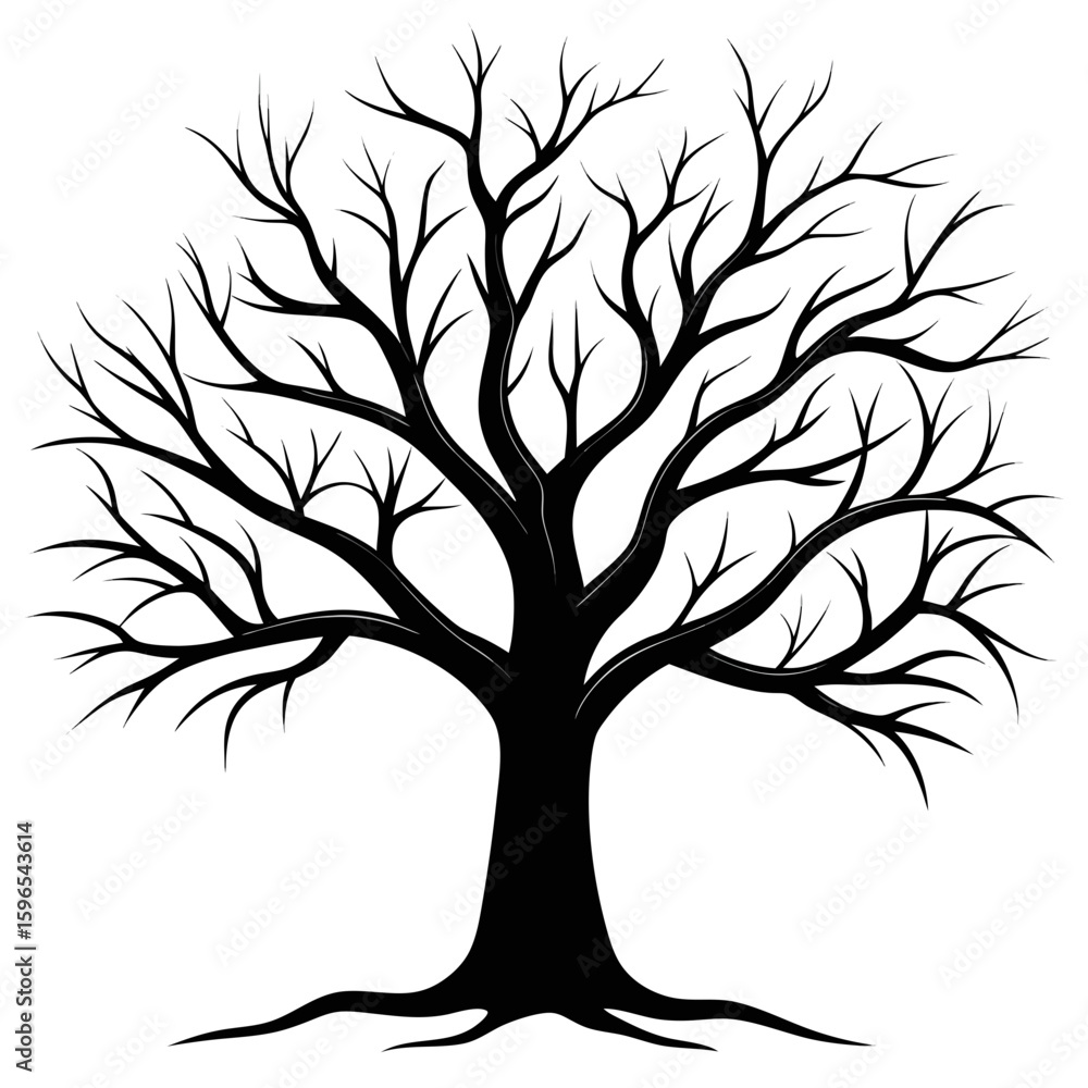 Fototapeta premium Bare Tree Silhouette