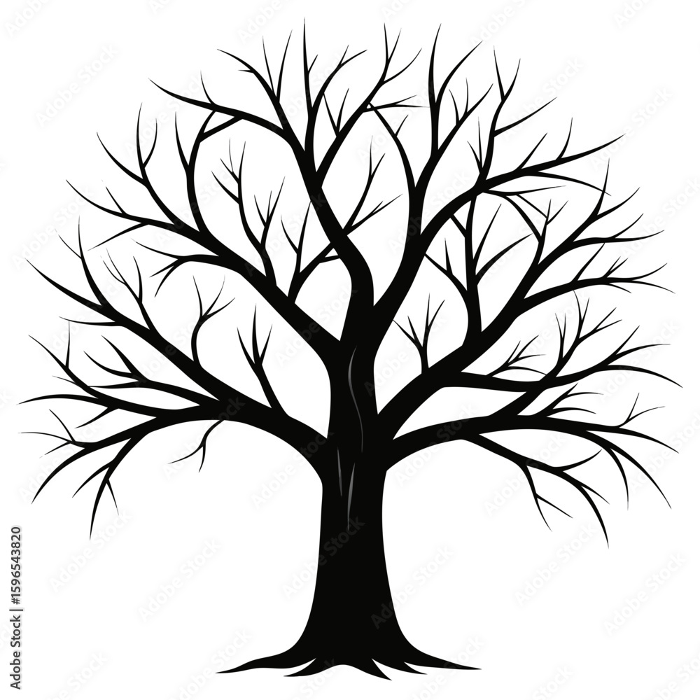 Obraz premium Bare Tree Silhouette