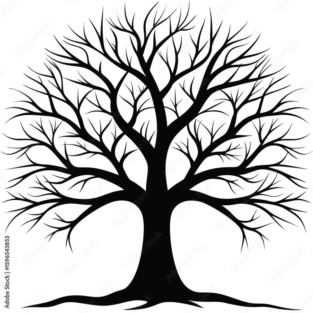 Obraz premium Bare Tree Silhouette