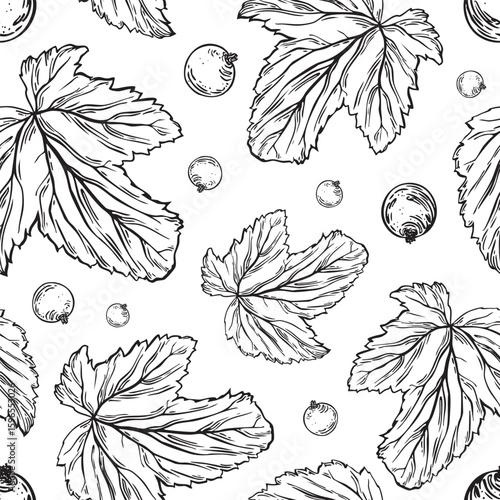 Black currant berry and leaves in sketch outline style. Summer seamless pattern of garden berries. Hand drawn botanical background of black ink plants for cosmetics packaging, cards, textile