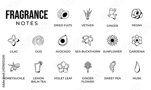Notes fragrance icon set, notes perfume icon set,  notes ingredients icon set, hand drawn icon set design