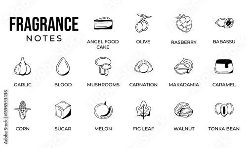 Notes fragrance icon set, notes perfume icon set,  notes ingredients icon set, hand drawn icon set design