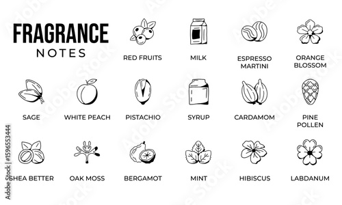 Notes fragrance icon set, notes perfume icon set,  notes ingredients icon set, hand drawn icon set design