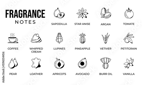 Notes fragrance icon set, notes perfume icon set,  notes ingredients icon set, hand drawn icon set design
