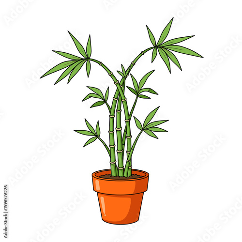 Illustration of a lucky bamboo plant with green leaves in an orange pot.