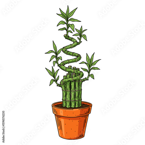 Illustration of a lucky bamboo plant with a spiral stalk in a terracotta pot, isolated on a white background.