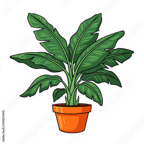 Cartoon illustration of a vibrant green banana plant with large leaves in a terracotta pot.