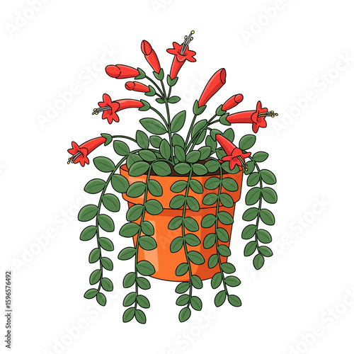 A potted plant with vibrant red flowers and trailing green leaves.