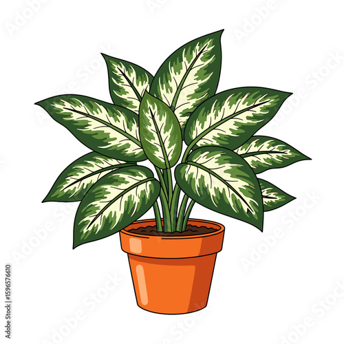 A vibrant houseplant in a terracotta pot, featuring variegated leaves.
