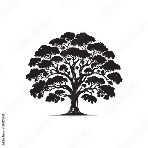 Teak tree Vector (2).eps