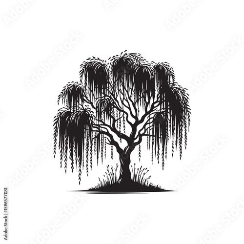 Willow tree Vector (3).eps