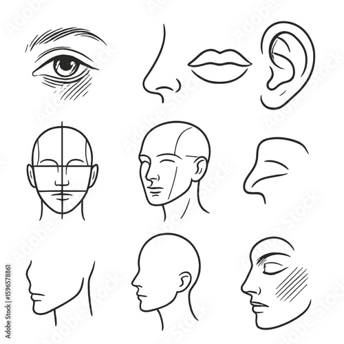 Facial Feature Sketches. Line style icons of facial sketch studies: eye with shading lines, nose contour sketch, lips outline, ear