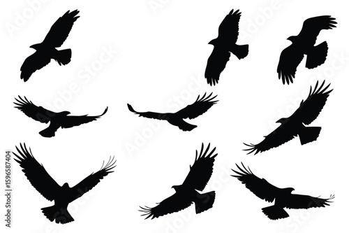 Silhouetted Birds Soaring with Freedom A Dynamic Composition of Avian Grace and Powerful Flight in Stunning Black and White