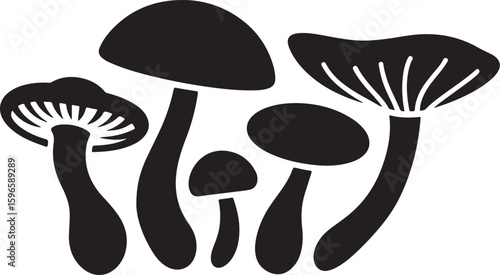 Black silhouette mushrooms vector illustration set with different varieties including umbrella and cap shapes for design elements