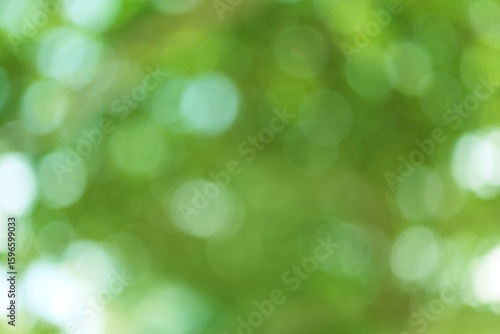 Abstract green background of nature, soft focus bokeh lights representing freshness, vitality and