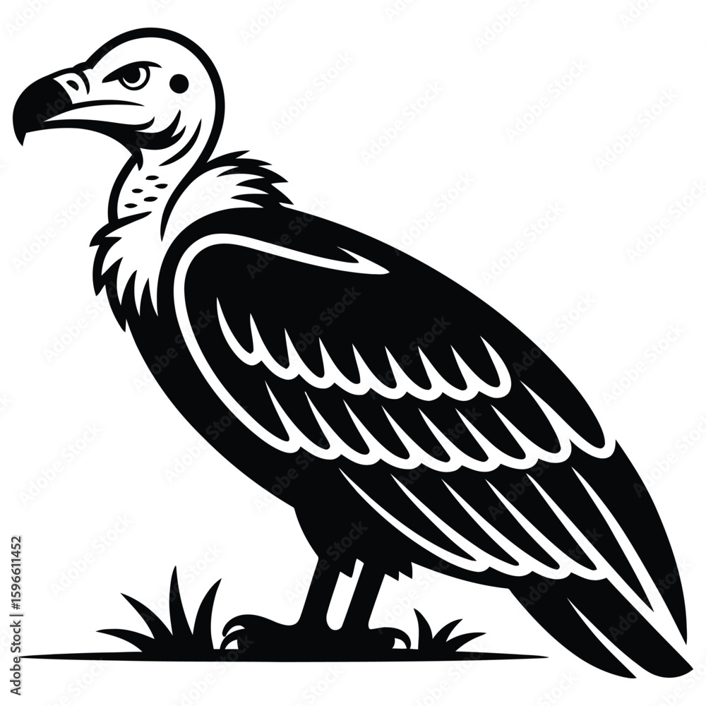 Fototapeta premium vector illustration of a vulture