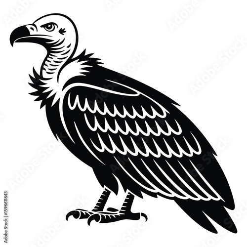 vector illustration of a vulture