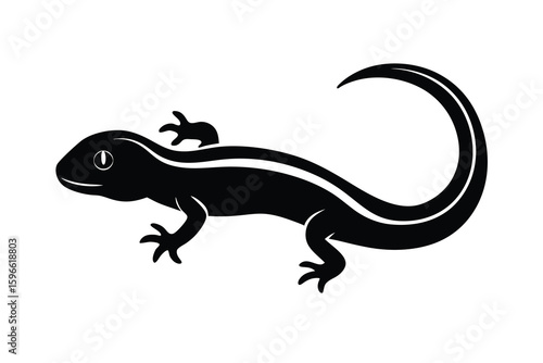 Elegant Black Lizard Silhouette with Curled Tail on White Background for Design