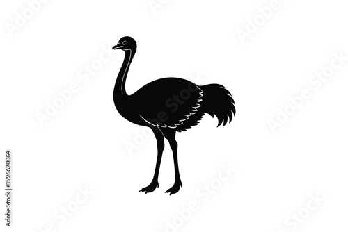 Black Silhouette of an Ostrich Standing on a White Background