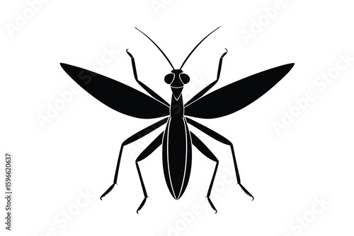Black silhouette of a mayfly insect with wings spread on white background