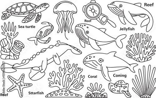 "Oceanic Archives: 1950s Marine Science Vector Series"
