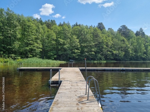 wooden bridge over lake