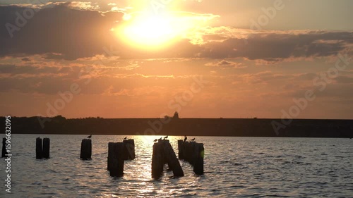 Ruined wooden piers sticking out of the water at sunset, with glowing sun and soft clouds creating a calm and reflective evening mood 