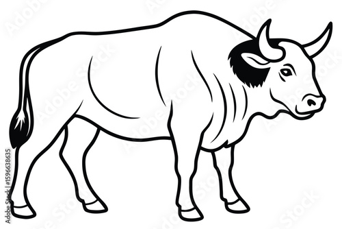 Obraz na plátně Line art shows a beefy bull with curved horns in clear outline
