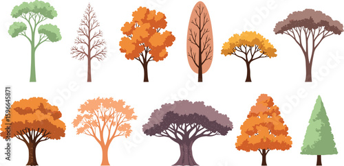 Minimal style cad tree line drawing, Side view, set of graphics trees elements outline symbol for architecture and landscape design drawing. 