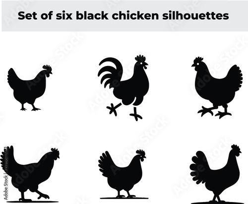 Chicken Silhouette Set: A collection of six black chicken silhouettes, capturing the diverse forms of domestic fowl. Perfect for illustrative use.