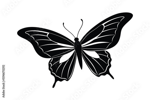 Elegant Black and White Butterfly Illustration with Intricate Wing Details on White Background
