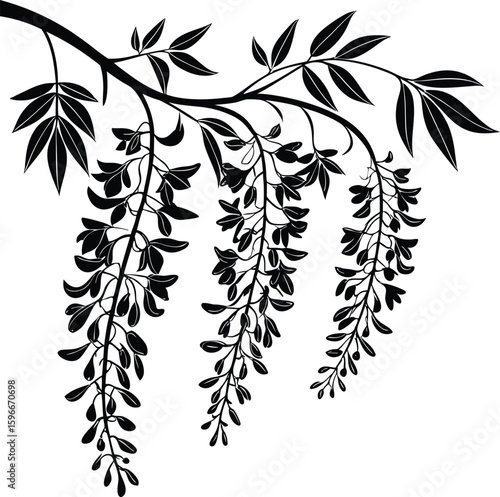 Elegant wisteria flower silhouette vector art