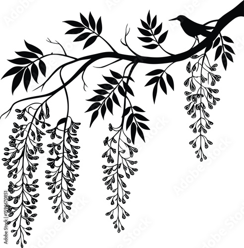 Elegant wisteria flower silhouette for floral designs