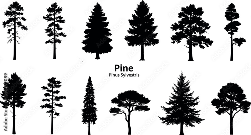 Fototapeta premium Tree silhouettes, Side view black, set of graphics trees elements outline symbol for architecture and landscape design drawing