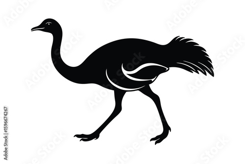 Elegant Black Silhouette of a Rhea Walking