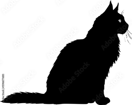 maine coon cat black silhouette vector with white background, Pet animal silhouette
