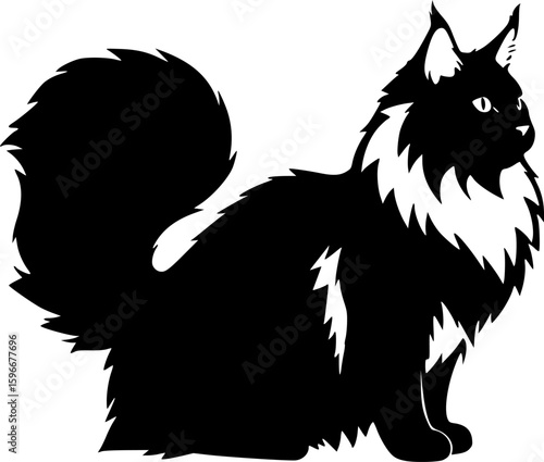 maine coon cat black silhouette vector with white background, Pet animal silhouette
