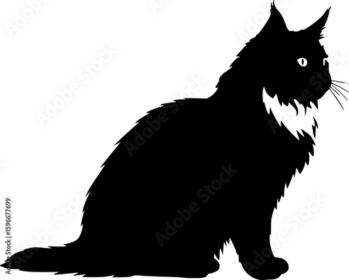 maine coon cat black silhouette vector with white background, Pet animal silhouette
