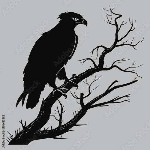 Harpy eagle staring from treetop silhouette vector design art and illustration