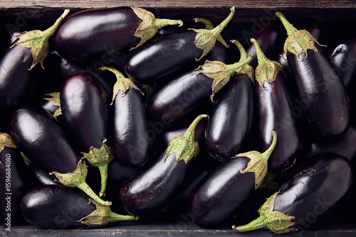 Crate full of fresh organic eggplants. Farm Harvest.