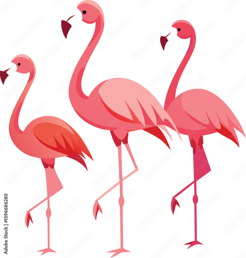 Obraz premium Pink flamingos are elegant wild birds, often isolated, with their characteristic pink feathers, long necks, and black beaks, illustrating the beauty of tropical nature