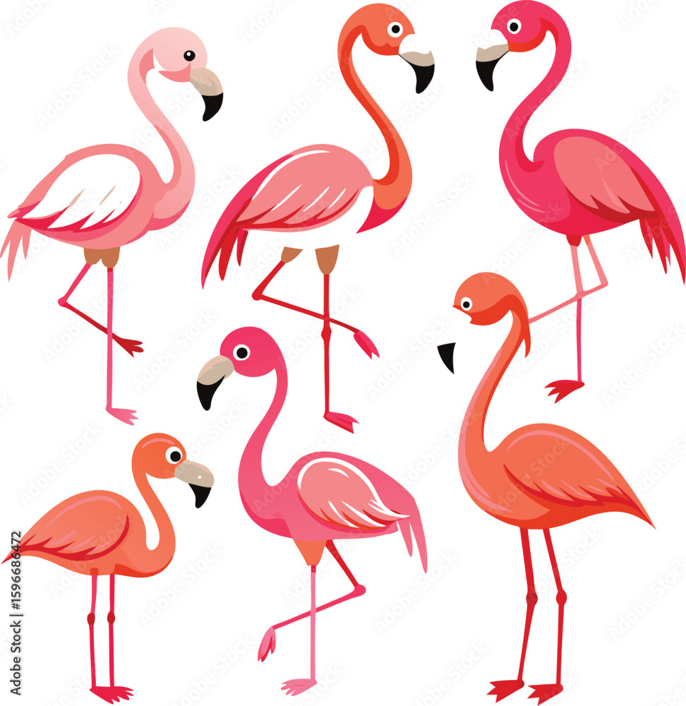 Obraz premium A flock of pink flamingos, graceful birds of the wild, standing in nature's water