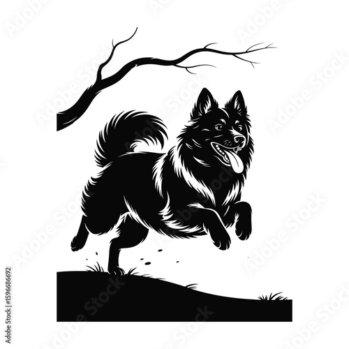 Silhouette of American Eskimo Dog running with tongue out and tail flowing, energetic black and white vector illustration