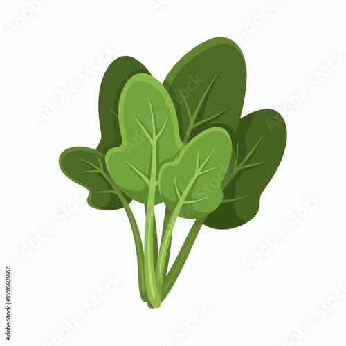 A bunch of green spinach with prominent veins