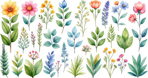 Watercolor floral collection with vibrant flowers. Hand-painted flowers and leaves in watercolor style. Beautiful watercolor florals and plants arrangement. Delicate watercolor floral illustrations