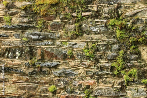 Rock Wall with Moss